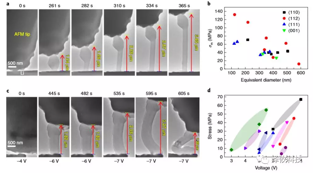 鋰晶須生長(zhǎng)的原位AFM-ETEM成像以及在施加電壓下同時(shí)測(cè)量鋰晶須的應(yīng)力變化。
