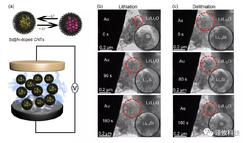 原位觀測Si@N-doped CNTs陽極的充放電過程