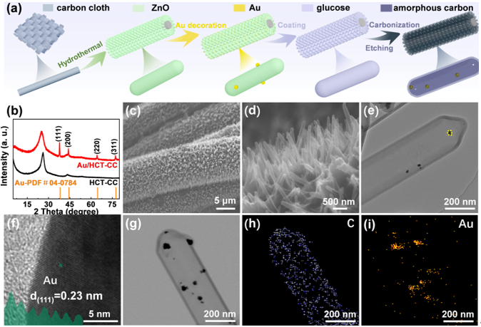 Au/HCT-CC的制備流程圖和SEM、TEM形貌表征