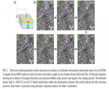 Physical Review Letters：北京大學(xué)利用原位TEM揭示電場(chǎng)下